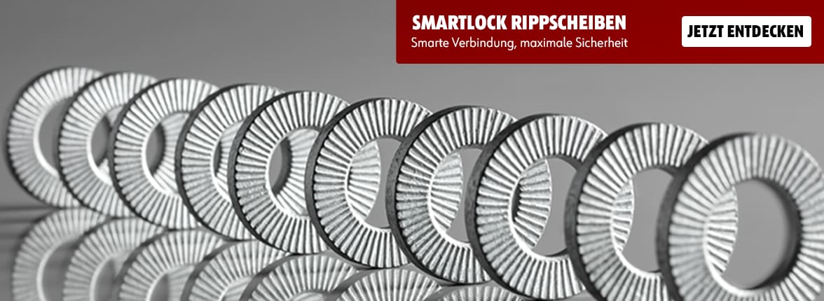 Smartlock Rippscheiben 